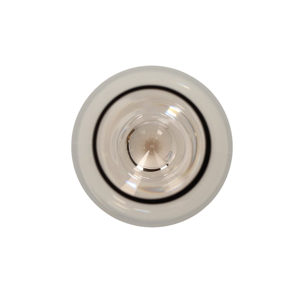 Blomus - BELO Copas de champán Café (juego de 2) Copas de champán Blomus