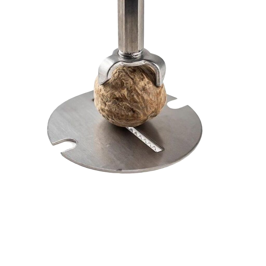 Peugeot - Molinillo de nuez moscada Daman 15 cm - Acero inoxidable y acrílico Molinillo de nuez moscada Peugeot