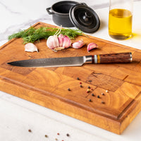 Micarta Jewels - Cuchillo de trinchar de Damasco de 20 cm, cuchillos de cocina Shinrai Japón