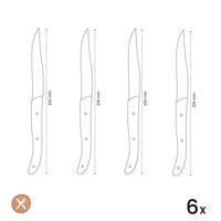 Amefa - Promoción de 4 cuchillos para carne - Cuchillos para carne negros Amefa