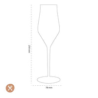 Leonardo - Copas de champán BRUNELLI 340ml - 6 piezas Copas de champán Leonardo