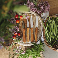 Opinel - Juego de cocina 4 piezas, Opinel, Les Essentiels Oliva Opinel 