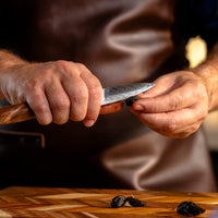 Shinrai Japón - Juego de 6 cuchillos de Damasco de zafiro epoxi Juegos de cuchillos Shinrai Japón