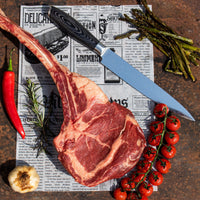 Shinrai Japan™ - Cuchillo japonés de Damasco de 67 capas para carne, 20 cm, cuchillos de cocina