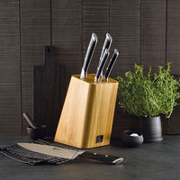 Richardson Sheffield - Bloque de 5 piezas R:VISION - Juego de cuchillos de madera con bloque Richardson Sheffield